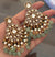 Ruhani Moissanite Earrings