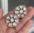 Anuja Polki Studs