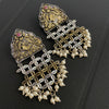 Dual Shade Earrings