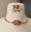 Damini Gold look Hasli