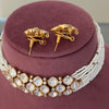 Ruhi Polki Pearl Necklace Set
