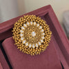 Jodha Bun Hair Clip