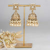 Bahaara Earrings